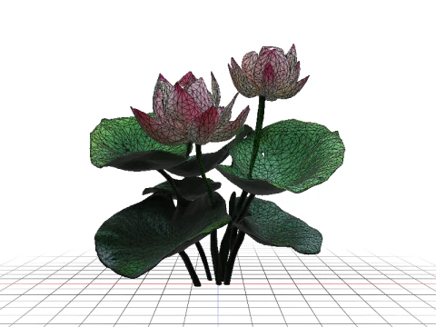 Pink Lotus Bloom 3D Model