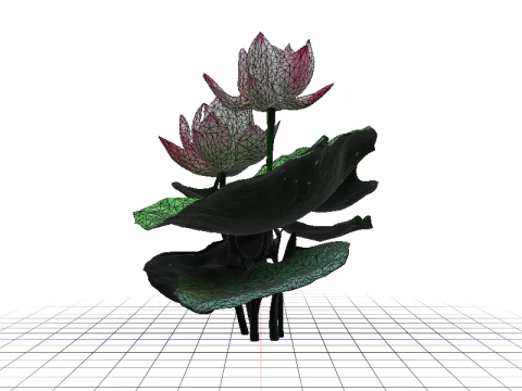 Pink Lotus Bloom 3D Model