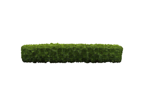 Green Bush Hedge 3D 모델