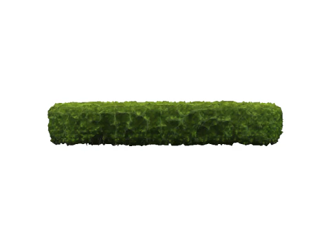 Green Bush Hedge 3D Model