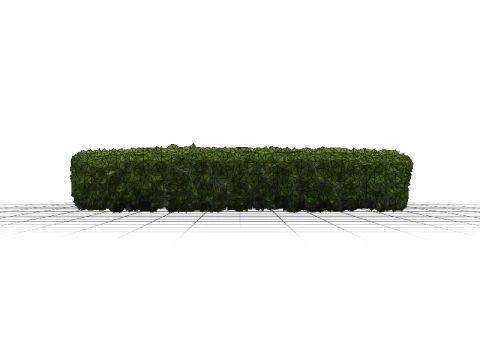 Green Bush Hedge 3D Model