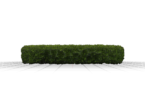 Green Bush Hedge 3D 모델