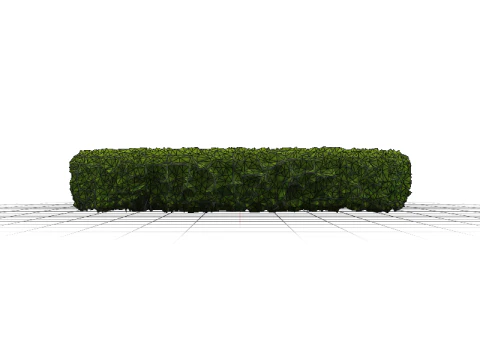 Green Bush Hedge 3D Model
