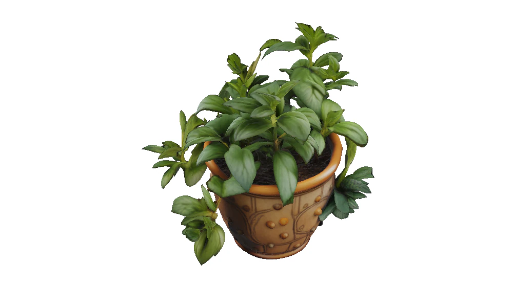 Succulent plant in pot 3D Model .c4d .max .obj .3ds .fbx .stl .blend 