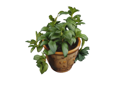 गमले में रसीला पौधा 3D मॉडल