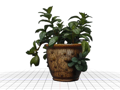 Succulent plant in pot 3D Model