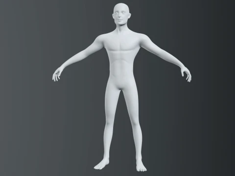 Stylized Male Character Base Mesh A-Pose 3D Model