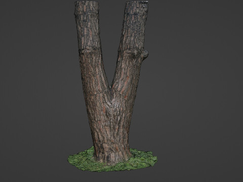 Tree scan Modelo 3D