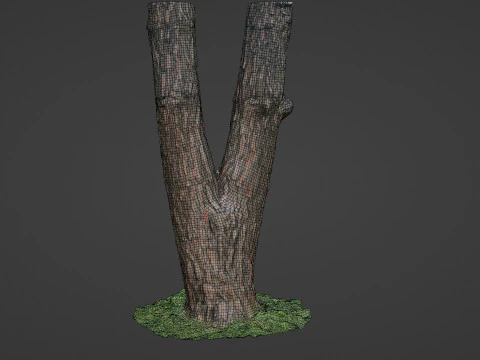 Tree scan 3D Model