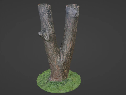 Tree scan 3D Model