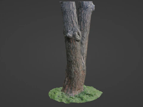 Tree scan 3D Model