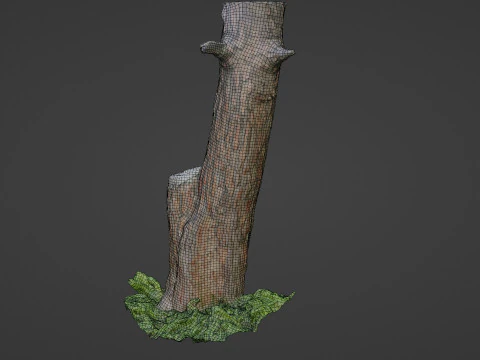 Scan tree 3D Model