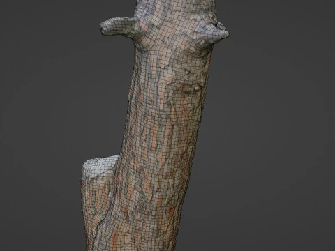 Scan tree 3D Model