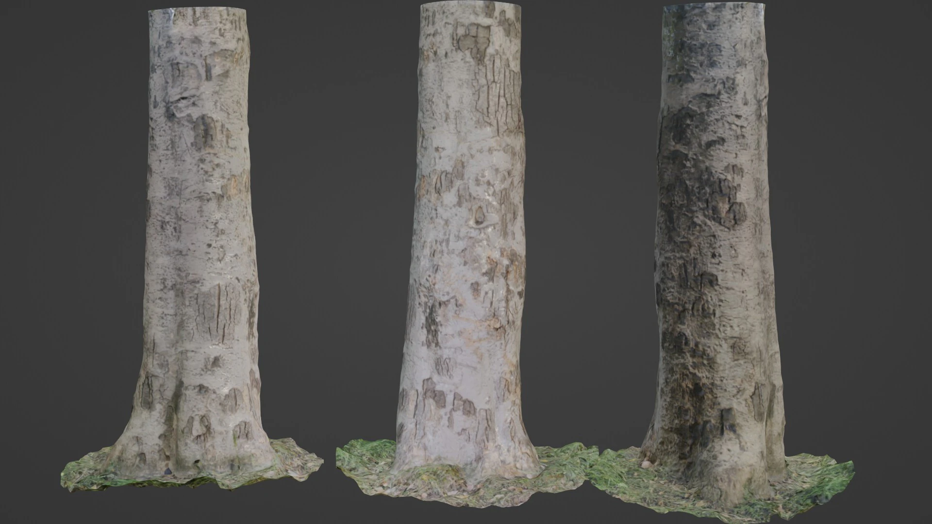 Scan tree 3D Model .c4d .max .obj .3ds .fbx .stl .blend 