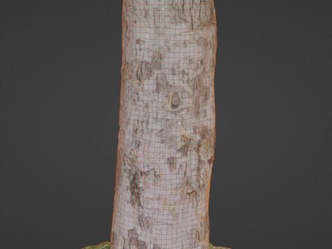 Scan tree Modelo 3D