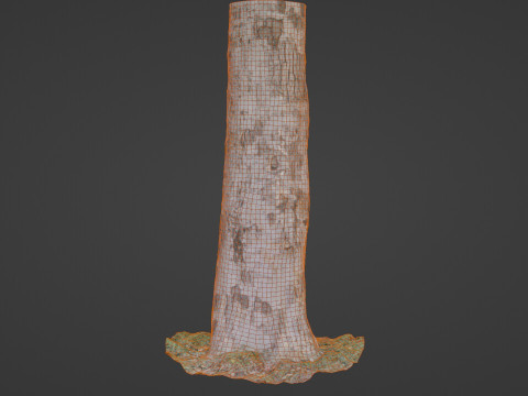 Scan tree Modelo 3D