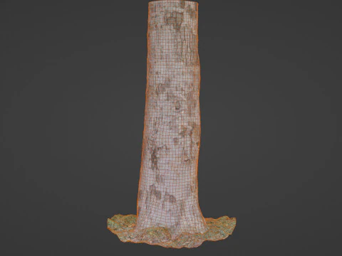 Scan tree 3D Model
