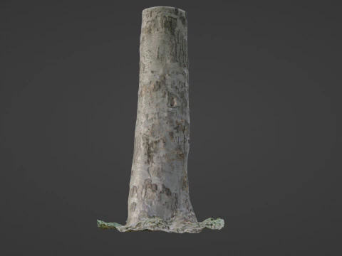 Scan tree 3D Model
