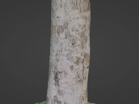Scan tree 3D Model