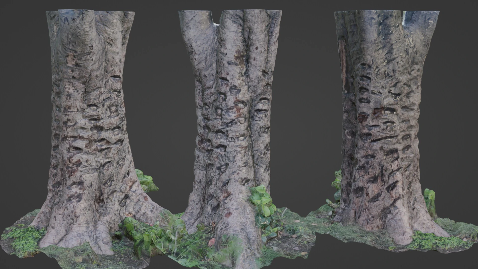 &Aacute;rvore digitalizada Modelo 3D .c4d .max .obj .3ds .fbx .stl .blend 