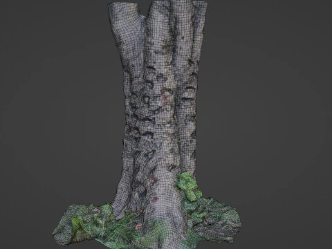 &Aacute;rvore digitalizada Modelo 3D