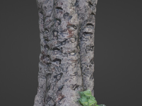 Tree scanned 3D Модель