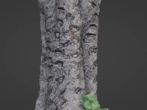 &Aacute;rvore digitalizada Modelo 3D