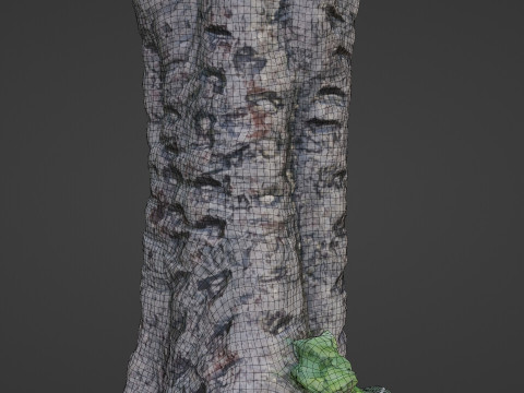 Tree scanned 3D Модель