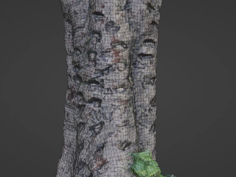 &Aacute;rvore digitalizada Modelo 3D