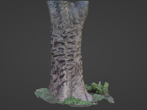 Tree scanned 3D Модель