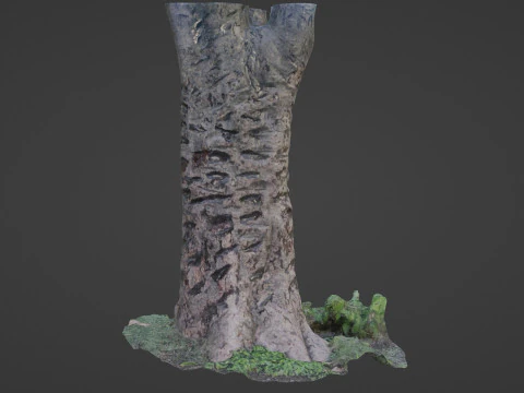 &Aacute;rvore digitalizada Modelo 3D