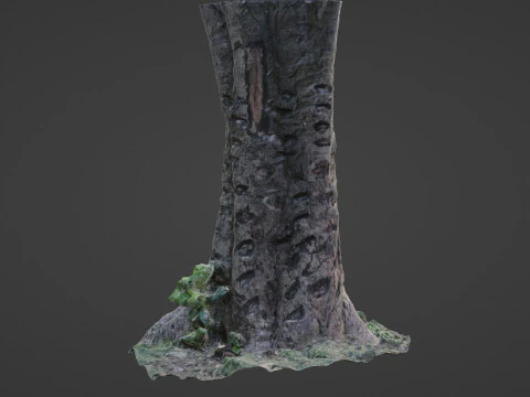 &Aacute;rvore digitalizada Modelo 3D