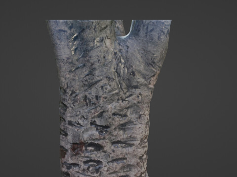 Tree scanned 3D Модель
