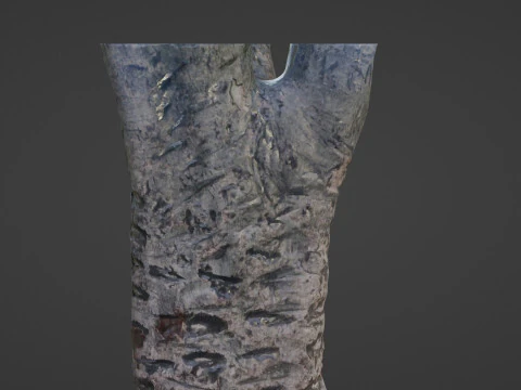 &Aacute;rvore digitalizada Modelo 3D
