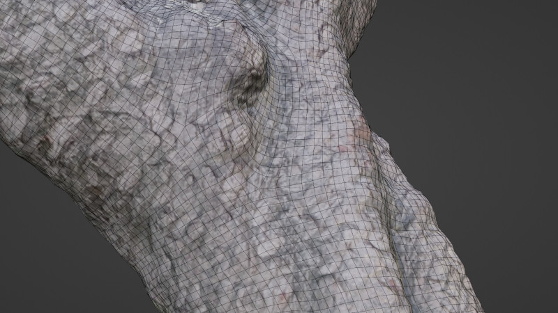 Stylized tree Scan Model 3D .c4d .max .obj .3ds .fbx .stl .blend