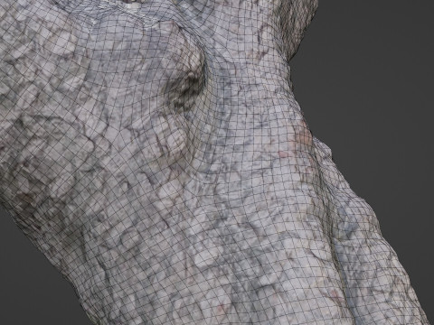 Stylized tree Scan 3D Model