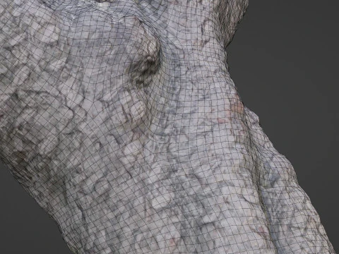 Scansione dell'albero stilizzato Modello 3D