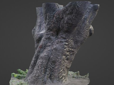 Stylized tree Scan Model 3D