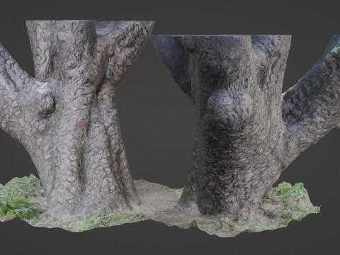 Stylized tree Scan Model 3D