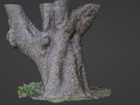 Stylized tree Scan Model 3D