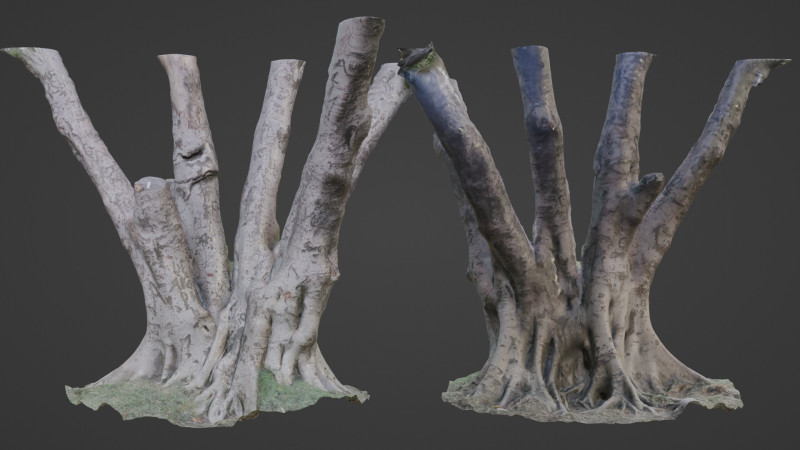 Tree 3D मॉडल .c4d .max .obj .3ds .fbx .stl .blend