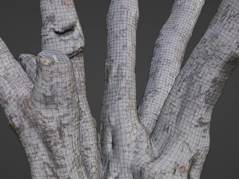 Tree 3D Model