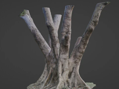 Tree 3D Model