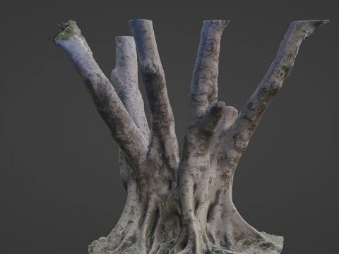 Tree 3D Model