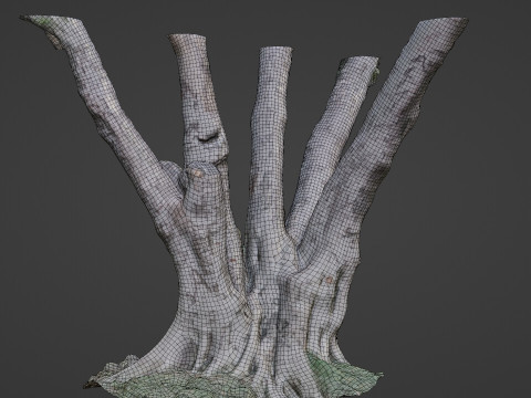 Tree 3D मॉडल