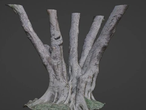 Tree 3D Model