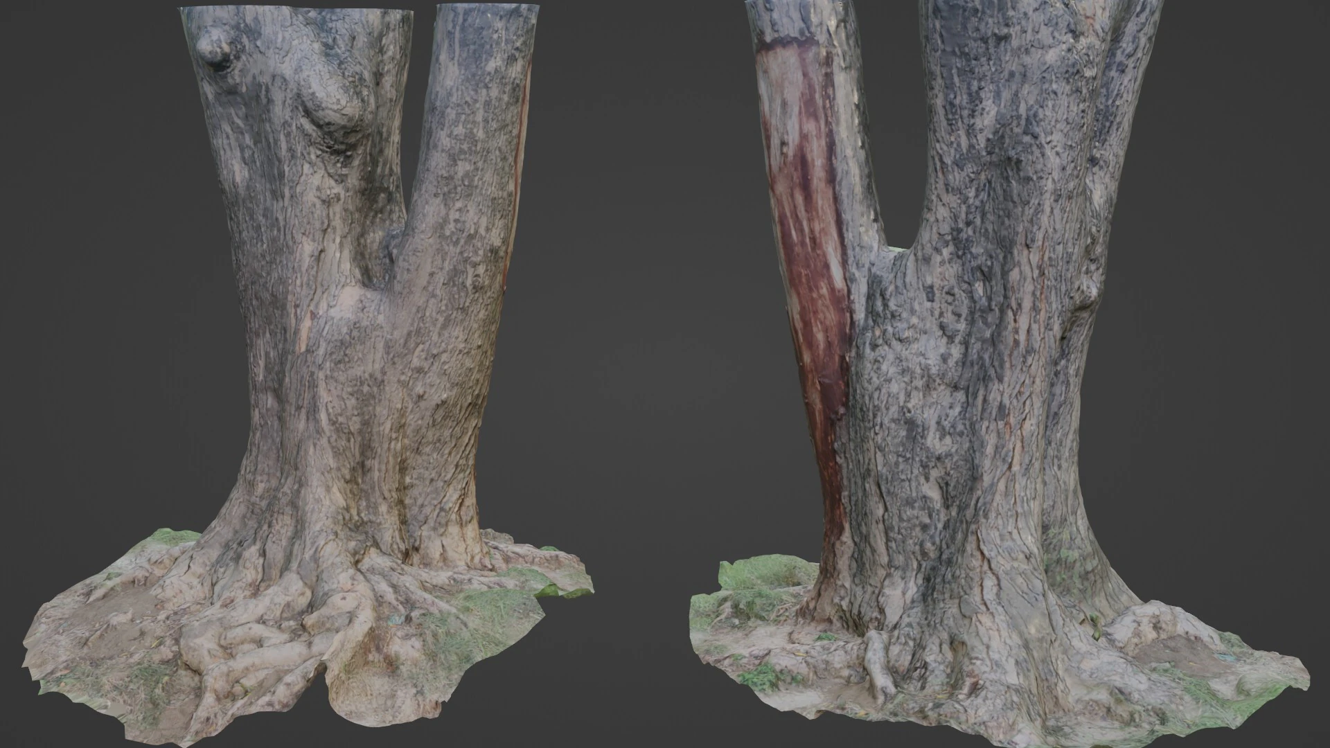 Tree 3D Model .c4d .max .obj .3ds .fbx .stl .blend