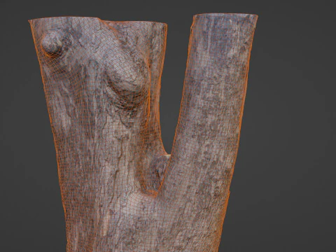 Tree 3D Model