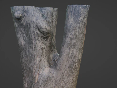 Tree 3D Model