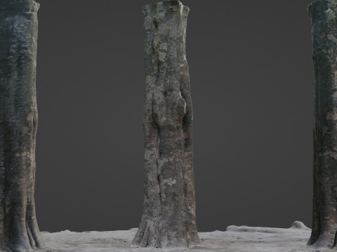 Tree 3D Модель